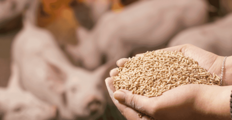 The future of animal nutrition includes clean feed