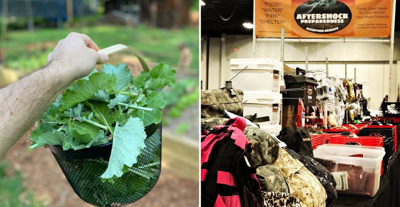 Pandemic Prepper: Journal of a Progressive Homesteader