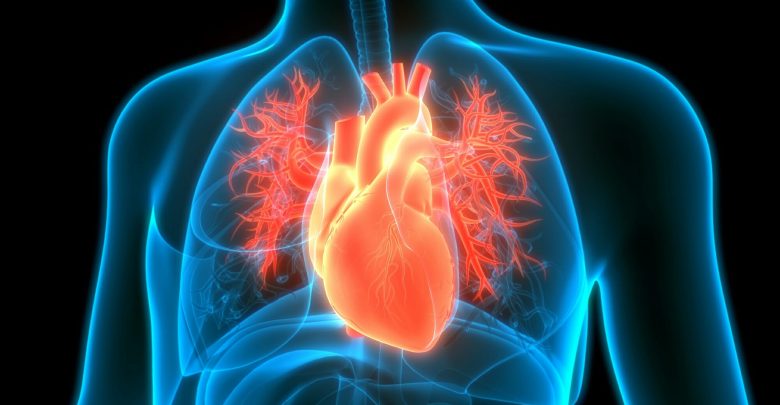 Elective revascularization reduces cardiac mortality in CHD patients