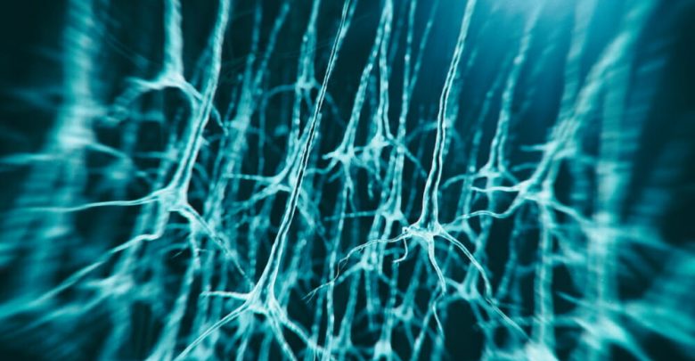 Fast-track gene therapy candidate for GM1 gangliosidosis
