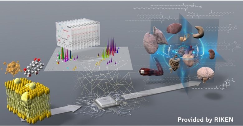 Demystifying the fat world of lipids