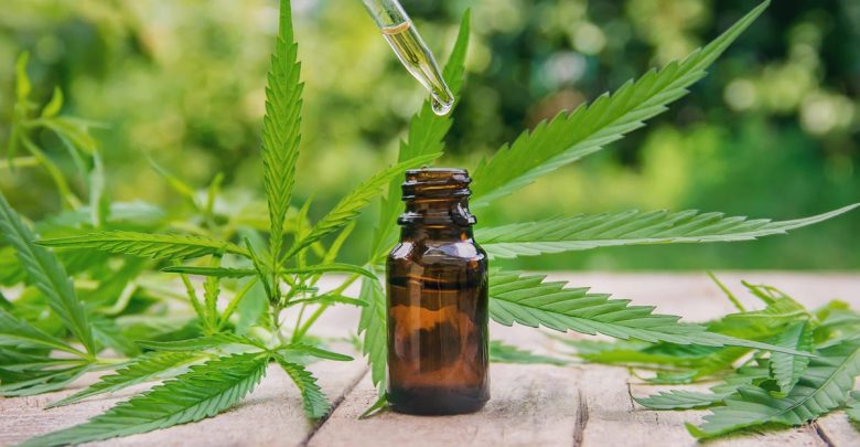 Study suggests that hemp extract is an effective aid in weight loss