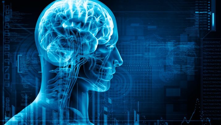Hyperuricemia, gout do not increase the risk of dementia