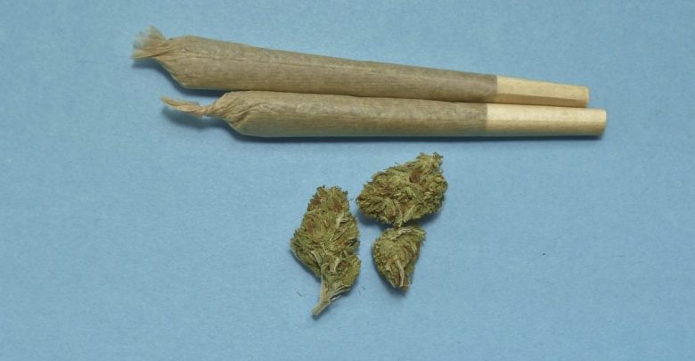 Was ist die Wissenschaft über Cannabis?