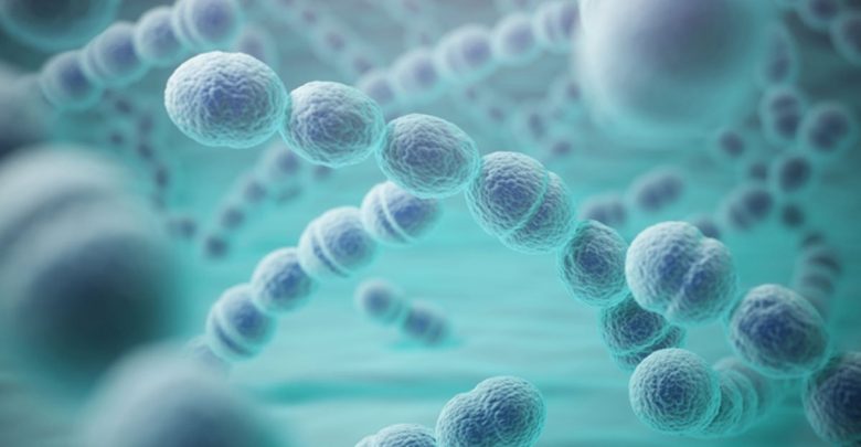 Pneumonia Bacteria