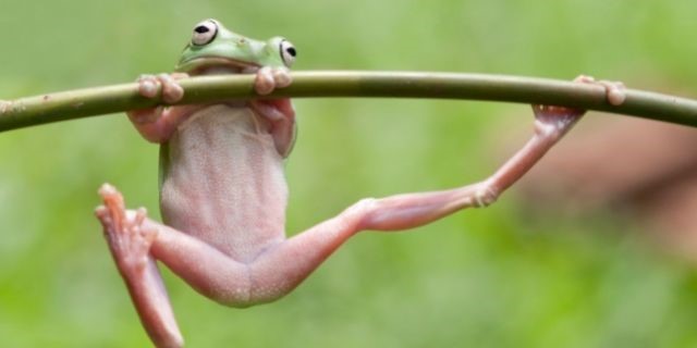 Beyond Pesticides Daily News Blog » Blog Archive Tell EPA: It Must Ban Pesticides Unless Shown Not To Be Endocrine Disruptors