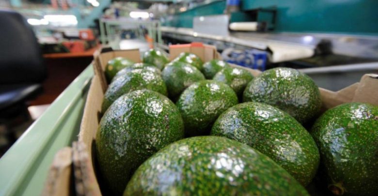 Can What You Eat Save You From COVID-19?