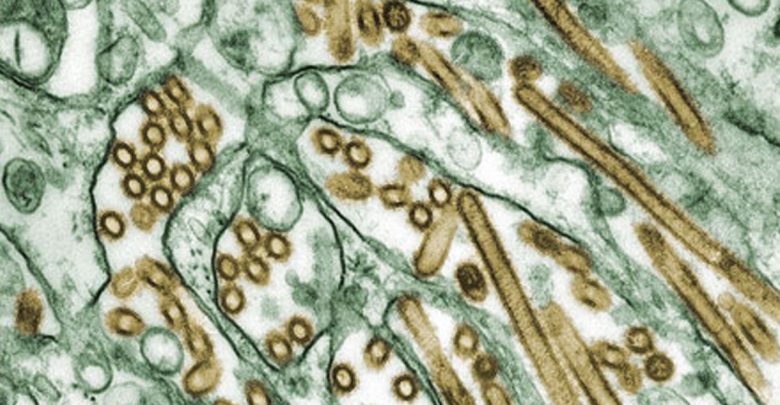 Influenza