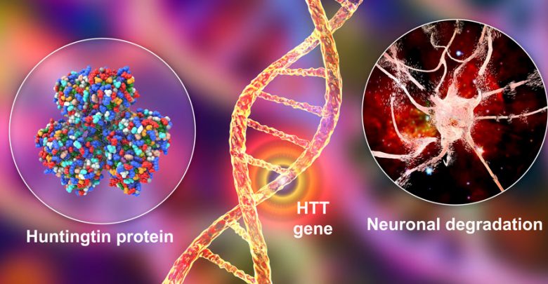 Therapeutic development for Huntington’s disease has largely focused on small molecules and antisense oligonucleotides (ASO).