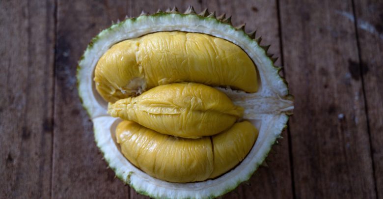 Scientists from Singapore are turning durian bowls into bandages