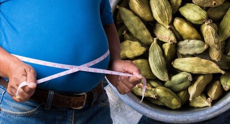 Visceral fat: Cardamom may boost metabolism and efficiently shed the harmful fat