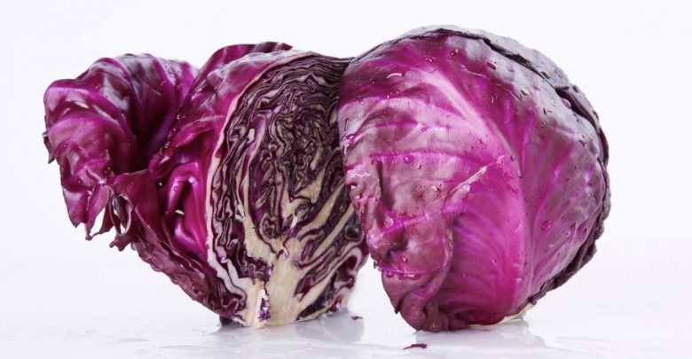 Dinosaur Kale and Red Cabbage Put to the Test