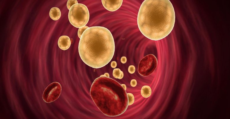 Blood Fat Cells