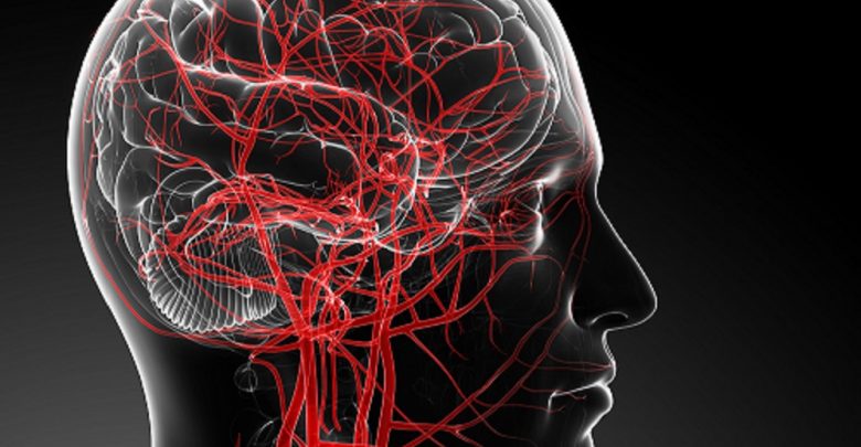 blood flow in the brain