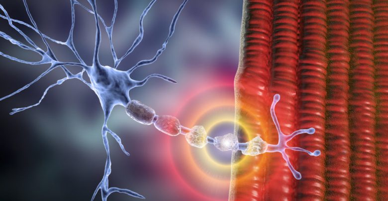 Multiple-Sclerosis