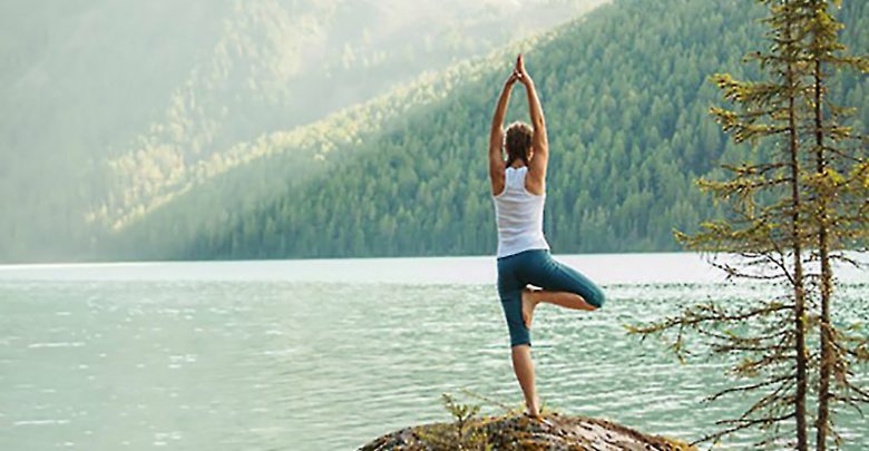 Rishikul Yogshala's Inspiring Journey from a small Yoga Hall to a Global Brand