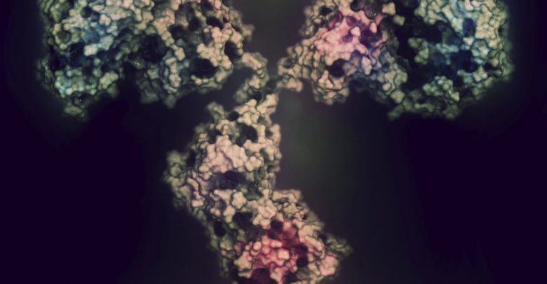 monoclonal-antibody-illustration