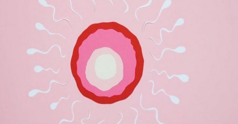 Maintaining weight during early life can prevent male infertility: Study