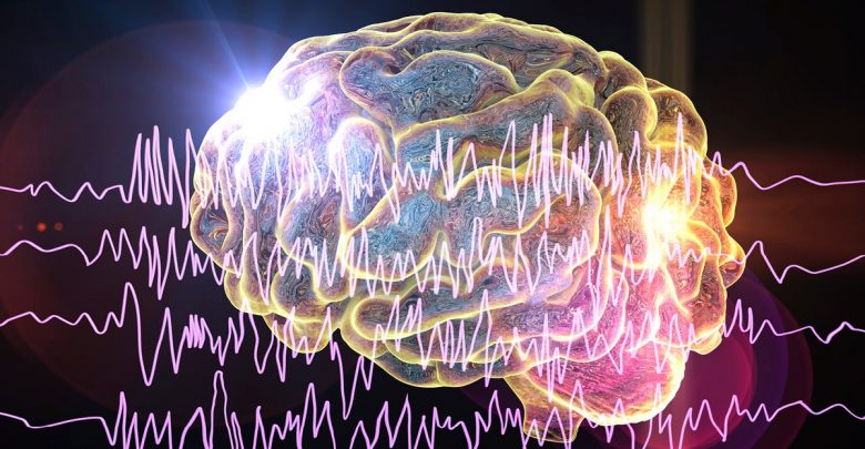 Brain and brain waves