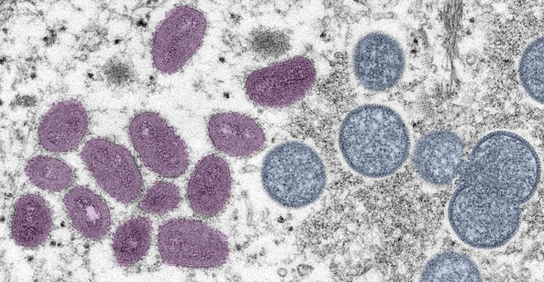 IDN0622Monkeypox_vaccination_Graphic_01_WEB