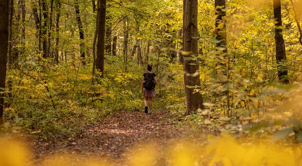 What to do in the Smallest National Parks