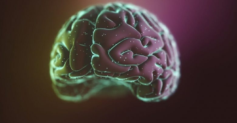 Brain-illustration