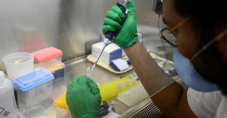 How polio silently spread in New York and left a person paralyzed