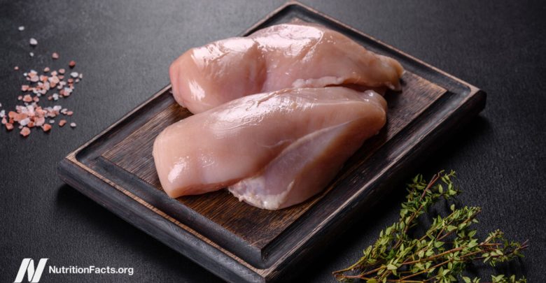 The Link Between Chicken Consumption and Urinary Tract Infections