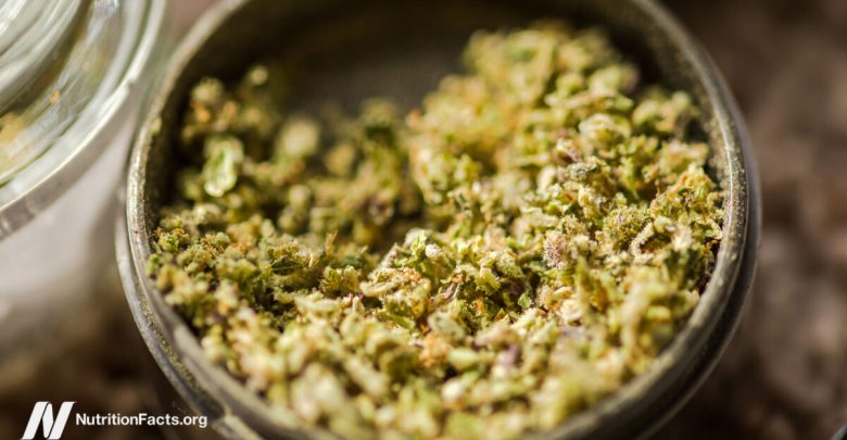 Does Smoking Cannabis Cause Lung Cancer?