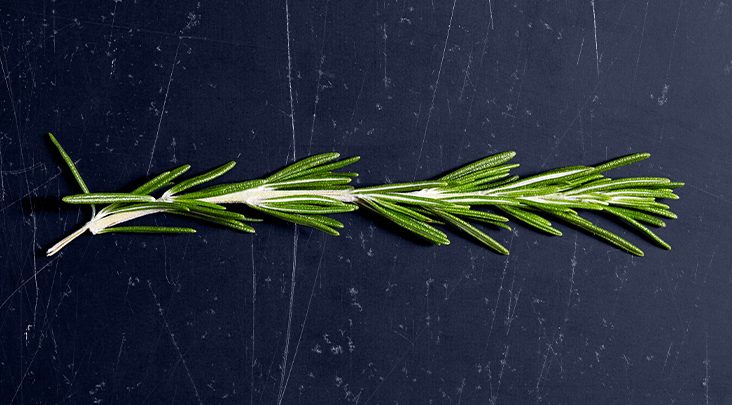 The best herbs to help lower cholesterol
