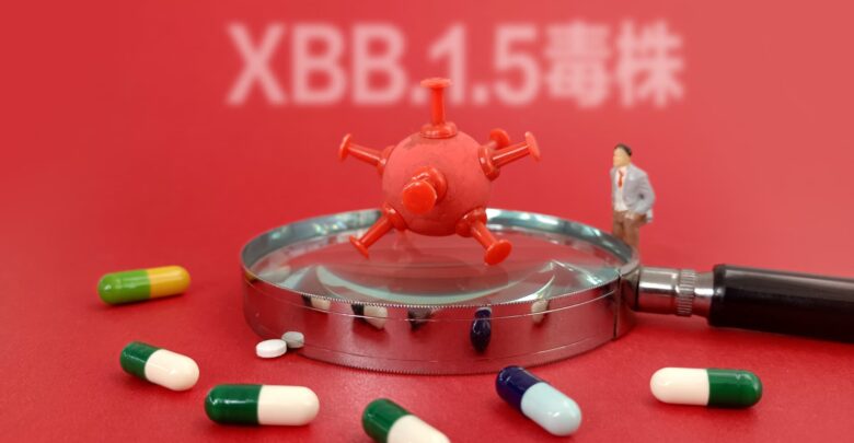 XBB.1.5 is the most transmissible subvariant of Covid yet, WHO says