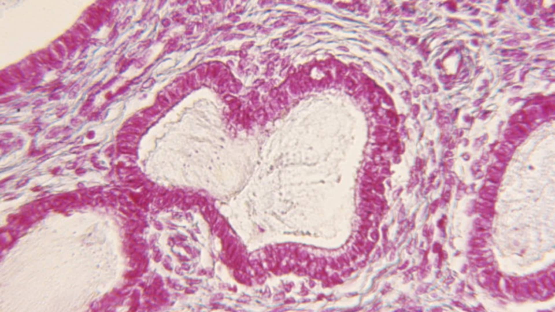 A subsection of tech is set to be worth $1 trillion.  But taboos are holding it back