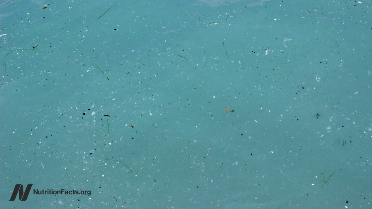 Is Seafood Safe from Microplastic Contamination?