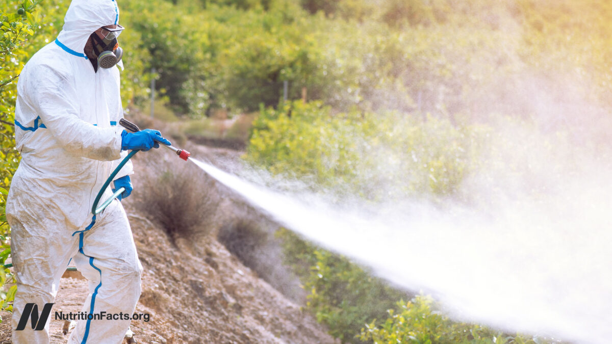 Cannabis and Pesticides