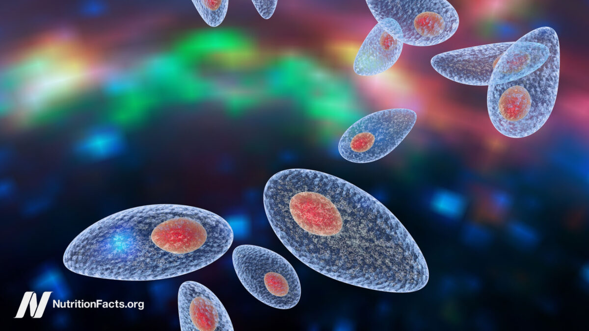 Can Toxoplasmosis Infection of the Brain Have Long-Term Effects? 