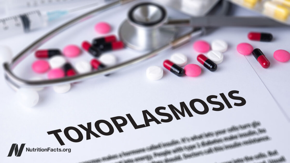 Toxoplasmosis Prevention 