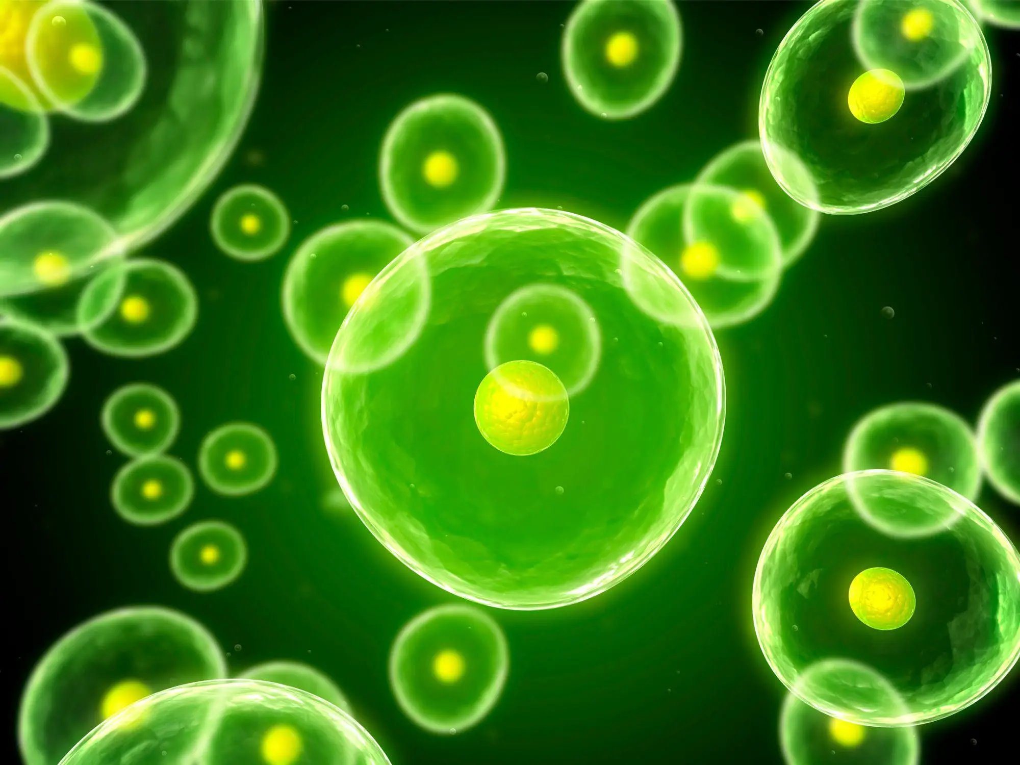 Glowing Green Cells