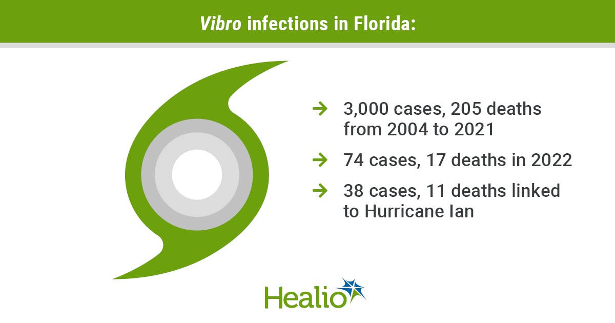 IDN1023Brumfield_Graphic_01_WEB