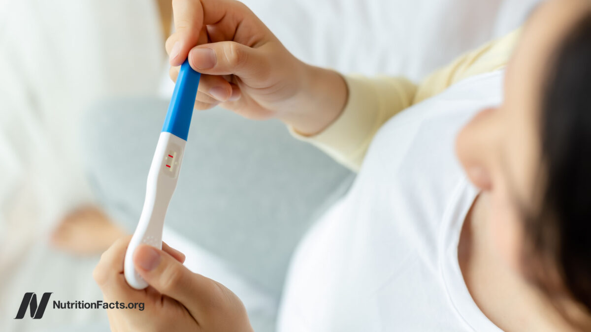 Cannabis on Fertility and Pregnancy