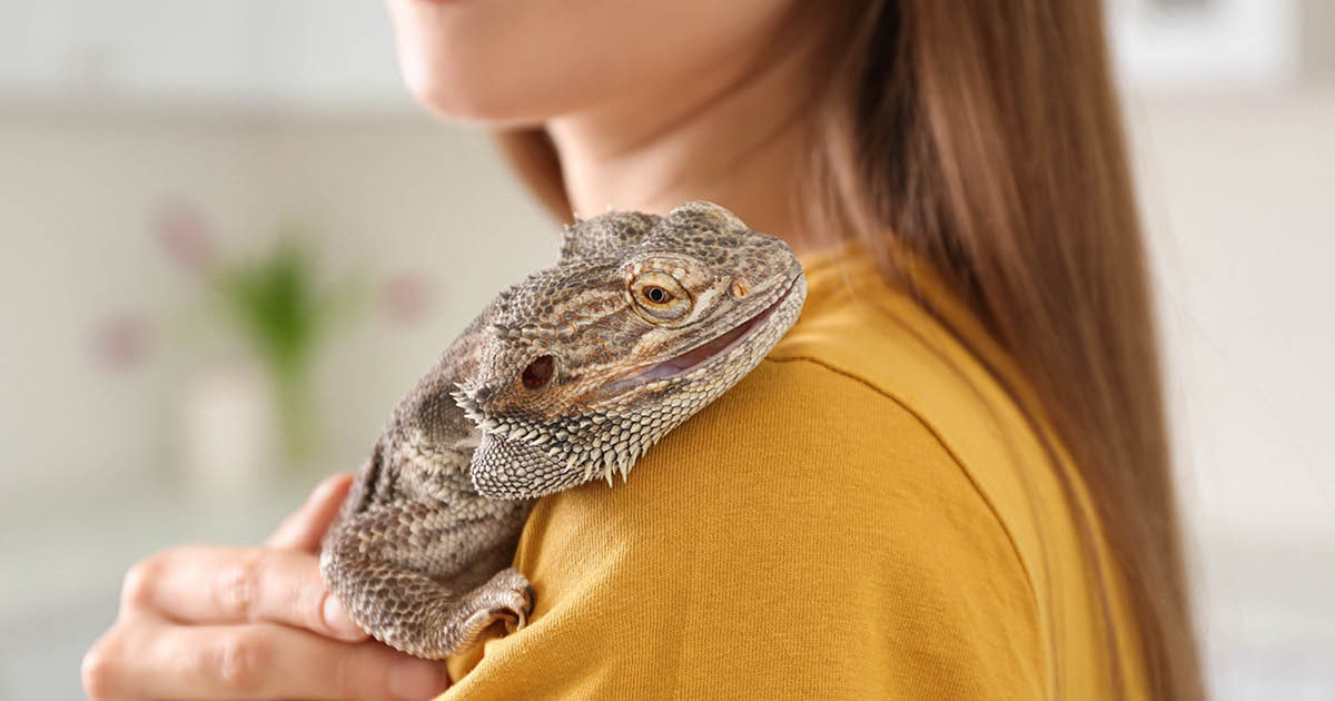 IDN0124Paphitis_Graphic_01