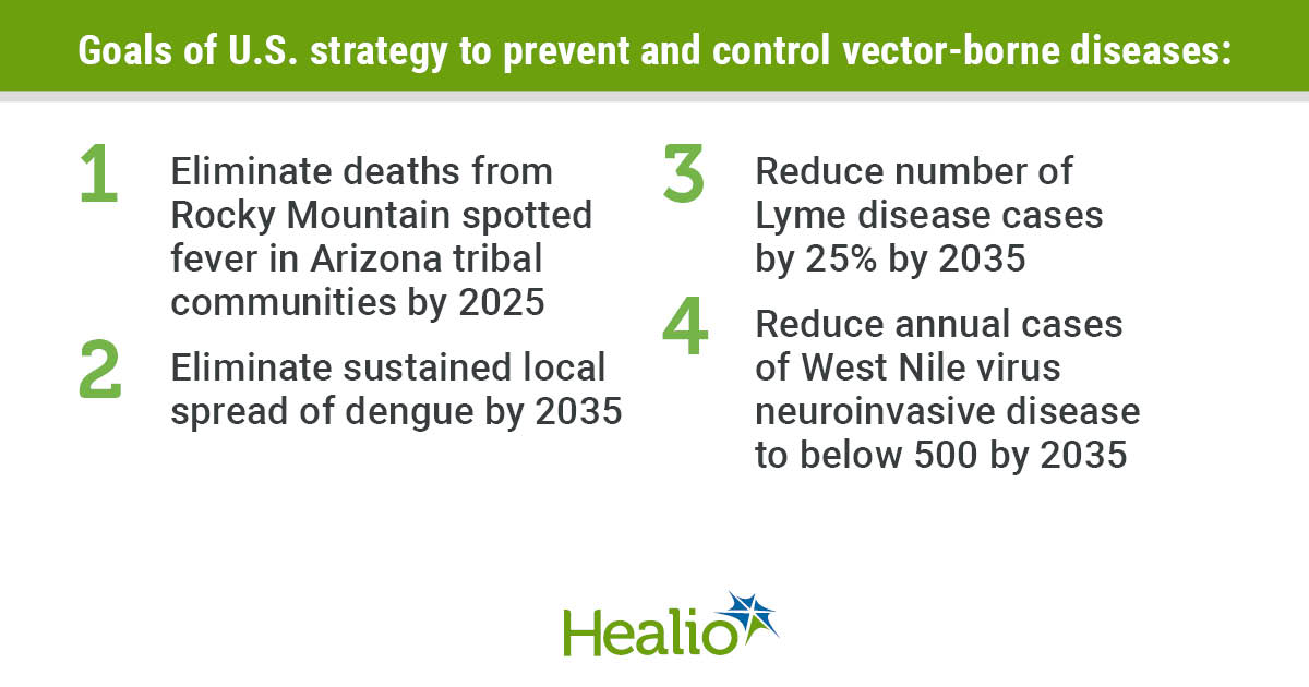 IDN0224VectorBorne_Graphic_01_WEB